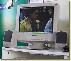 Die SchülerInnen fragen nach ...